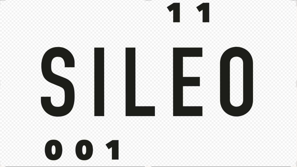 Sileo Information Management AG