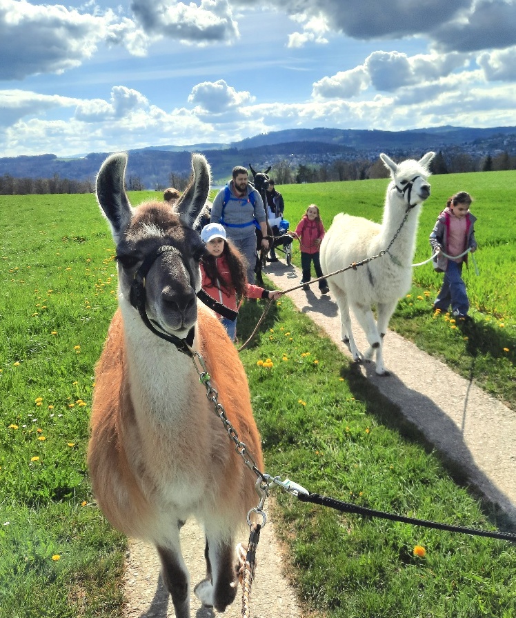 Lama Trekking